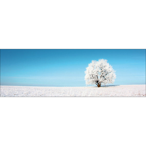 Lonely Snow Tree