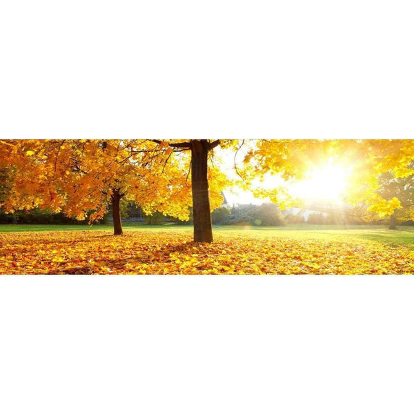 Autumn Sunshine
