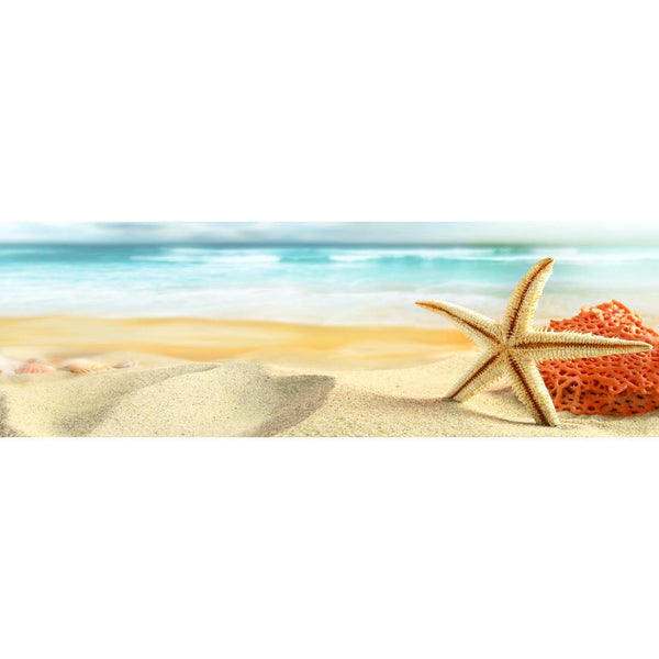 Starfish and Coral on Beach