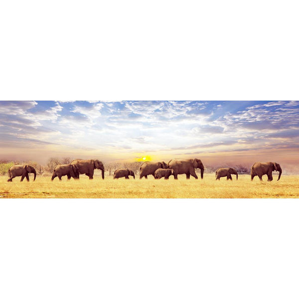 Elephant Trail