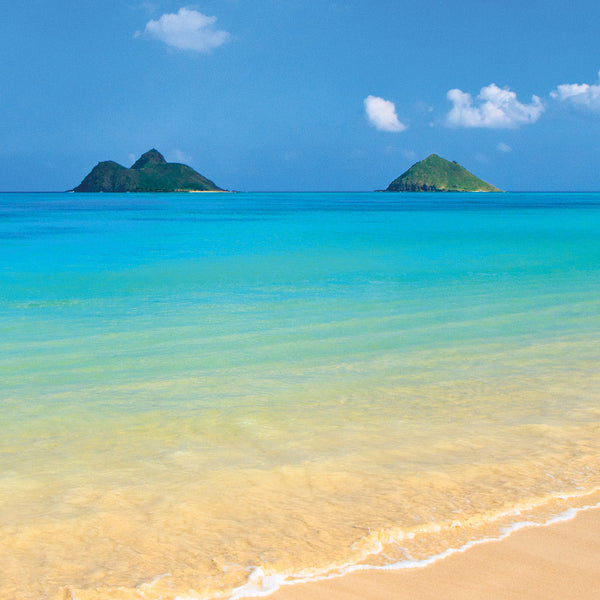 Idyllic Beach Mountains