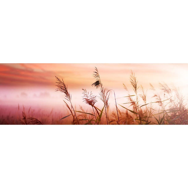 Corn Dusk