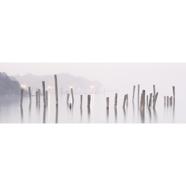 Misty Sticks