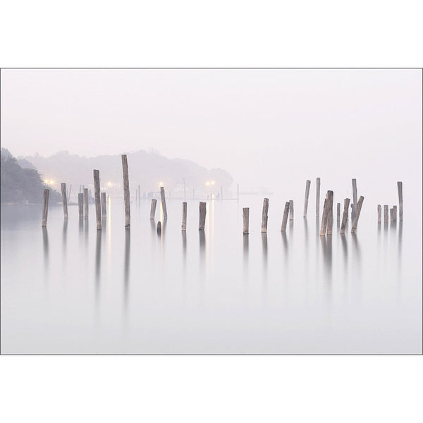 Misty Sticks
