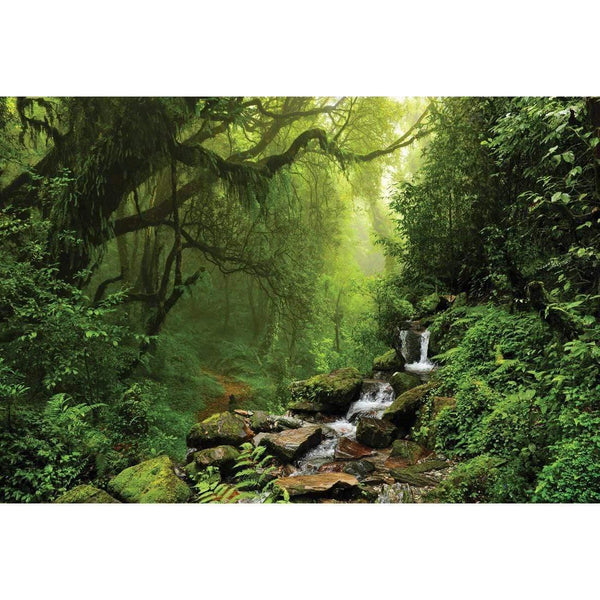 Romantic Rainforest Wall Art