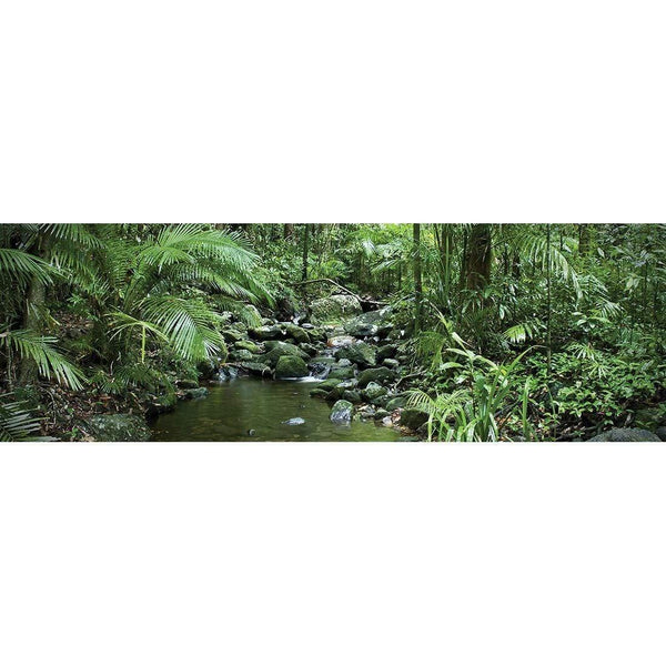Mossman River In Daintree Rainforest| Wall Art