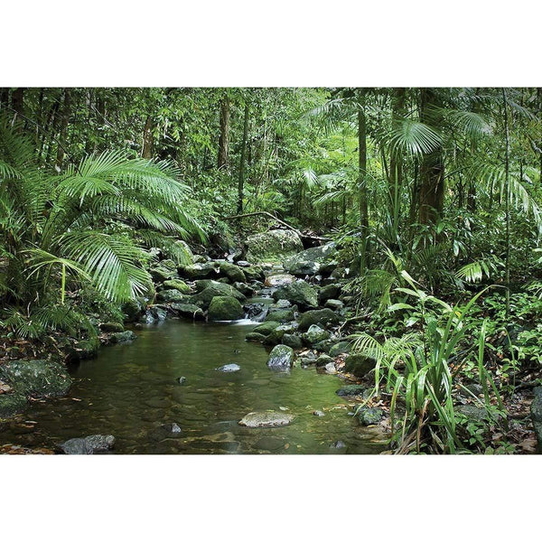 Mossman River In Daintree Rainforest