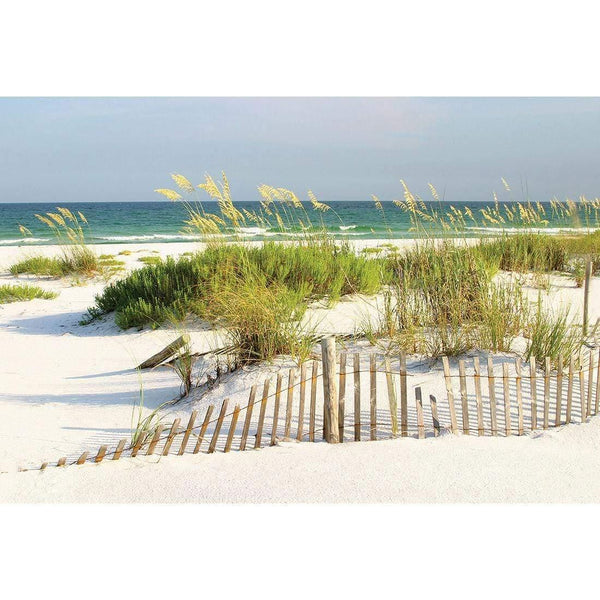 Sand Dune Reflections