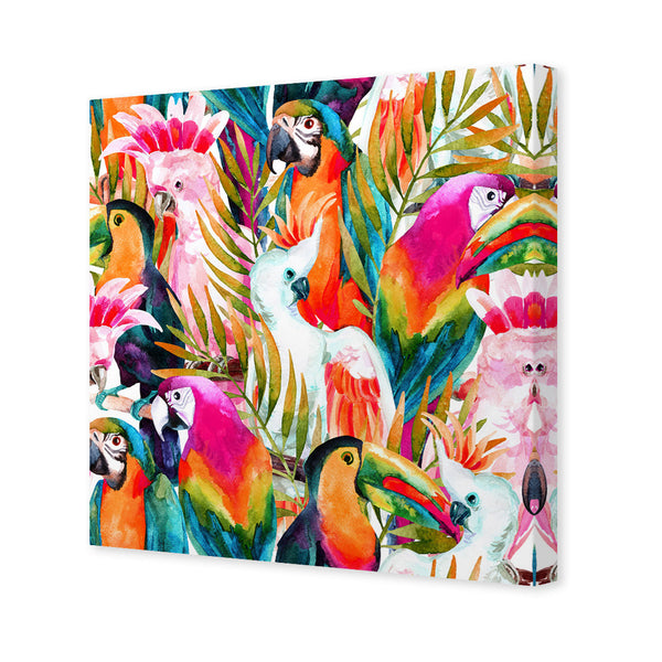 Parrots & Palms