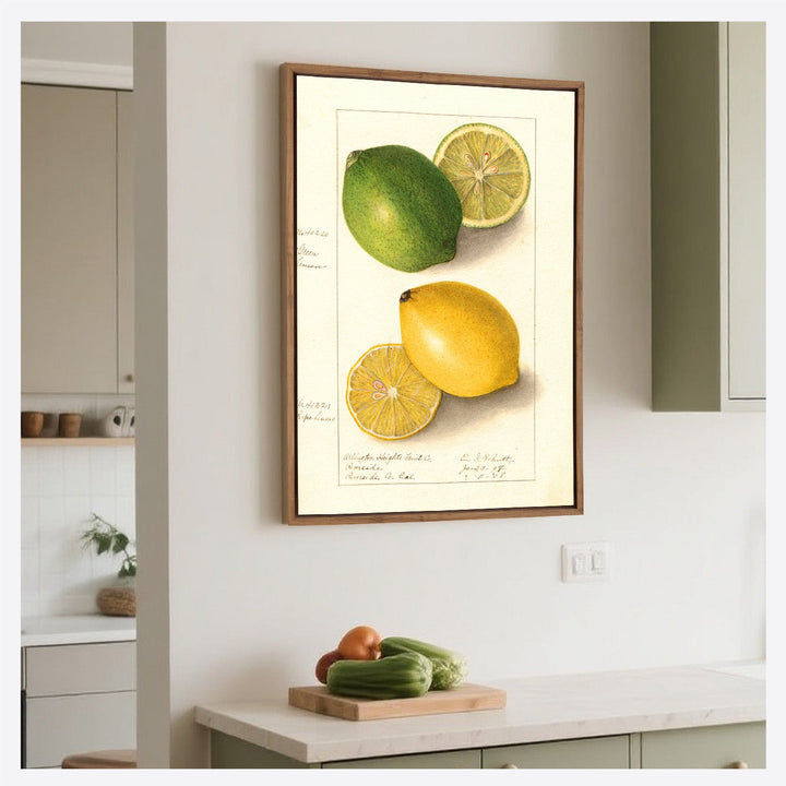 Watercolour Green Lemon and Ripe Lemon | Wall Art