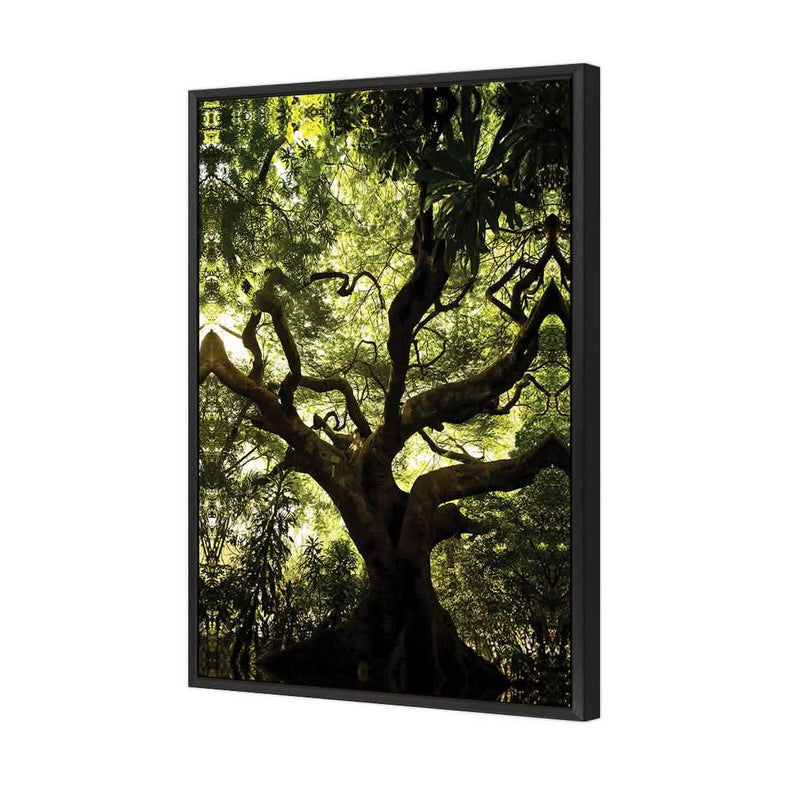 Amsterdam Art