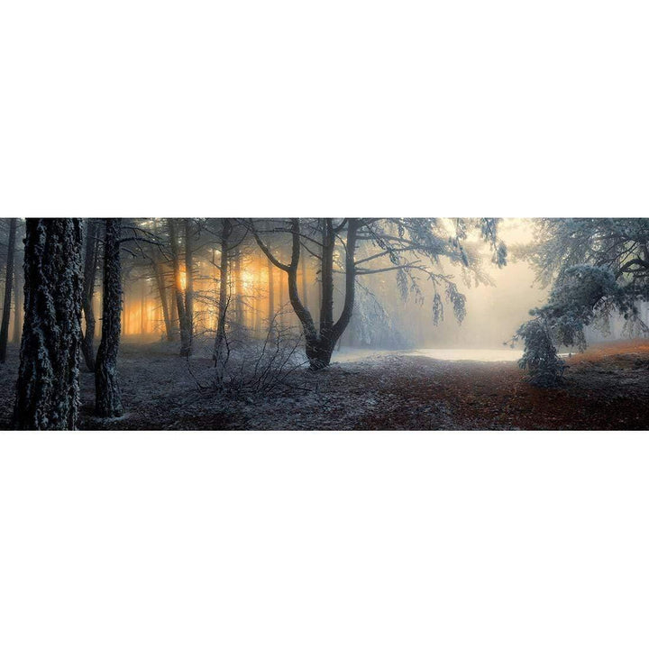Winter Forest Pond| Wall Art
