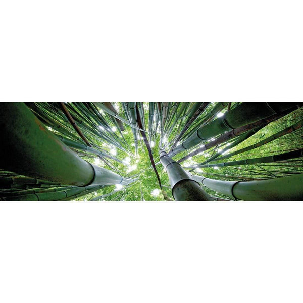 Bamboo From Above| Wall Art
