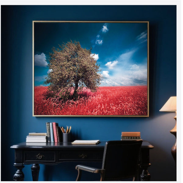 Crimson Meadow