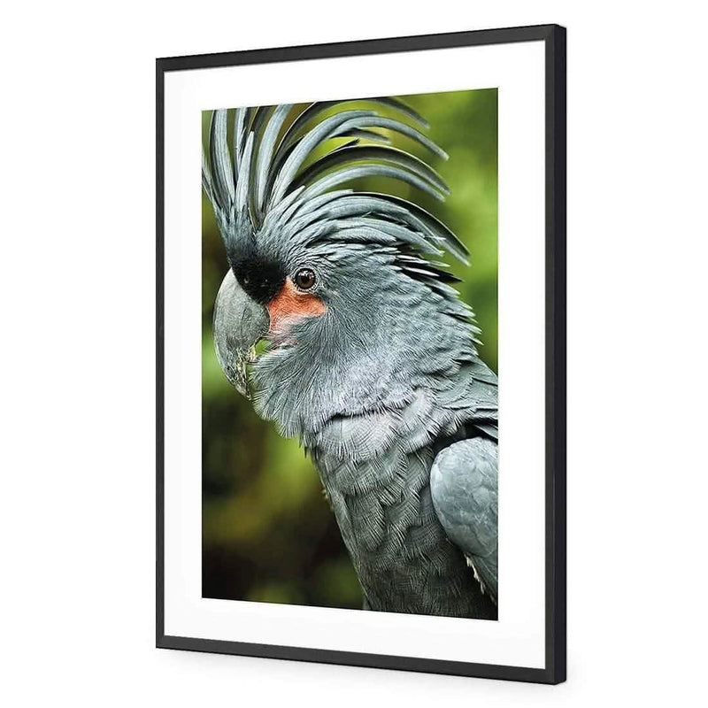 Amsterdam Art