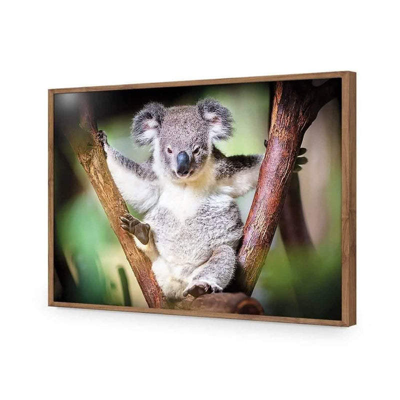 Amsterdam Art