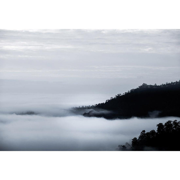 Monochrome Mist Wall Art