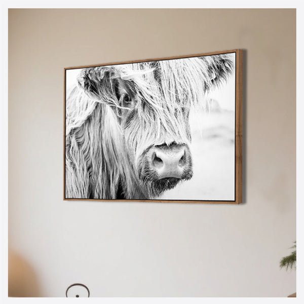 Henrietta the Highland Cow