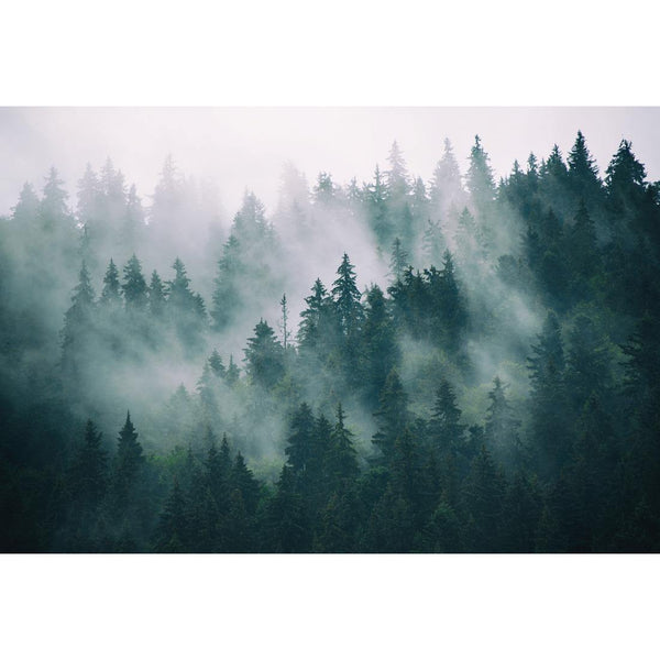 Silence of the Alps Wall Art