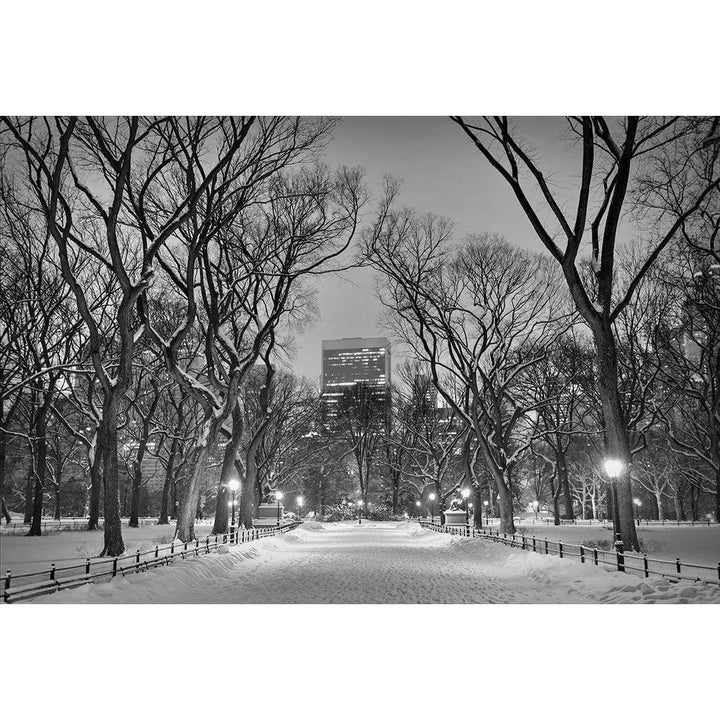 Winter In Central Park Black and White Wall Art