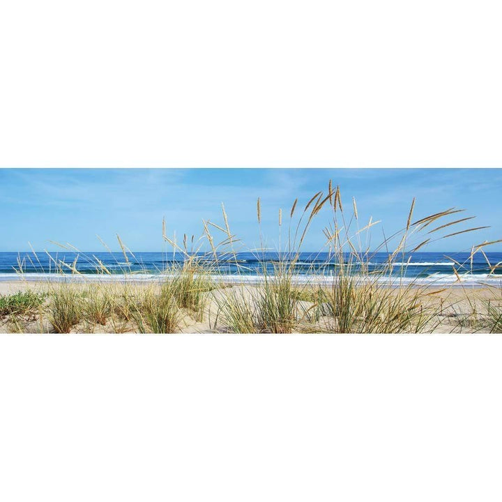 Portuguese Dunes| Wall Art