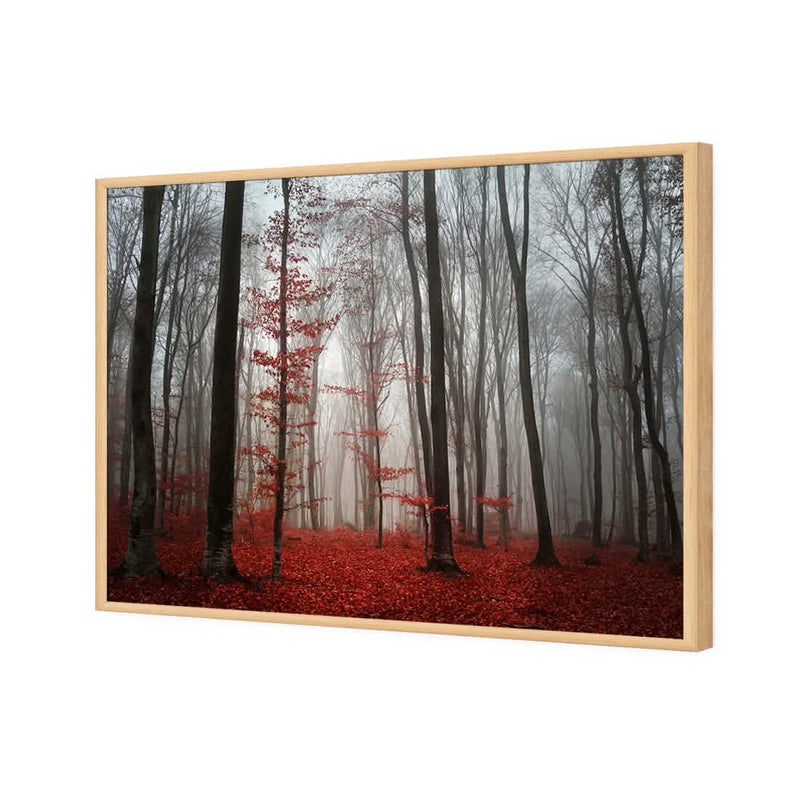 Amsterdam Art