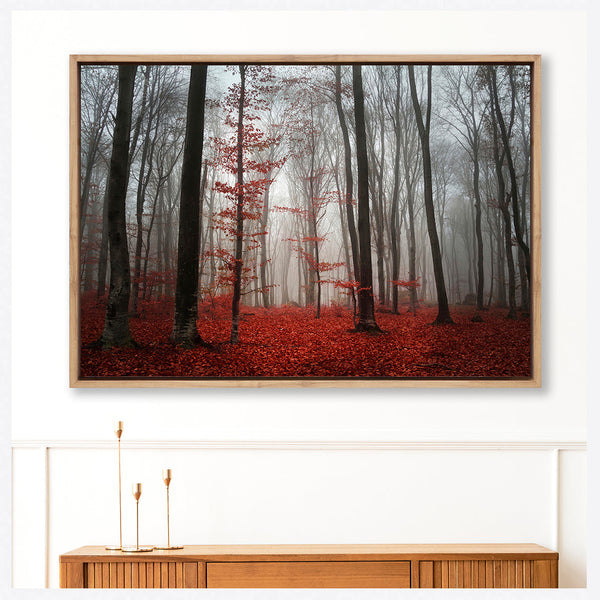 Scarlet Forest