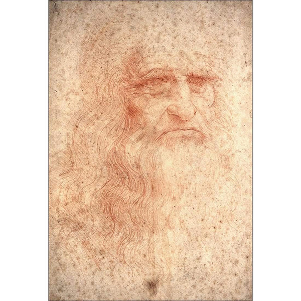 Renaissance Man By Leonardo Da Vinci Wall Art