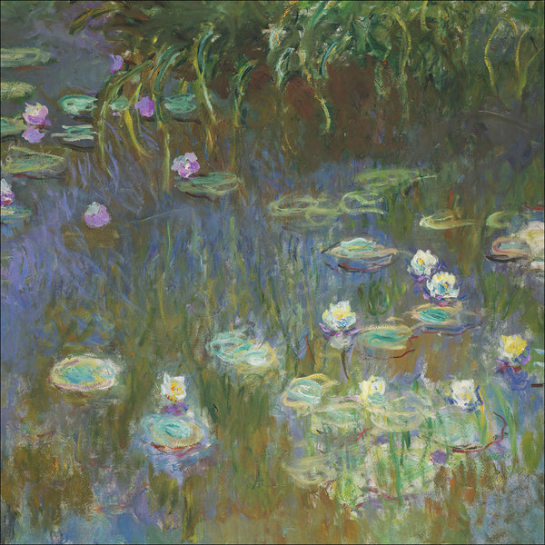 White and Purple Water Lilies by Monet
