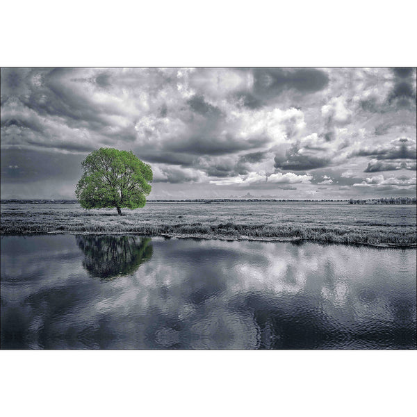 Green Tree of Life II