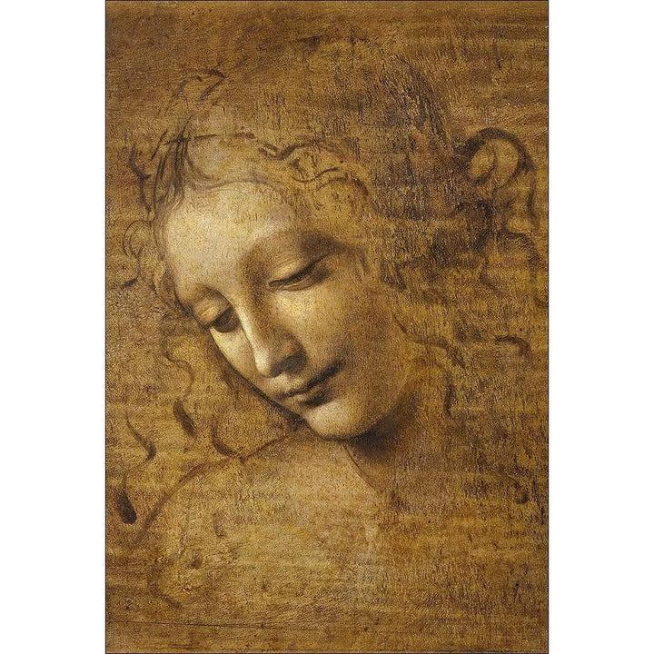 The Head of a Woman by Leonardo da Vinci| Famous  Art Prints