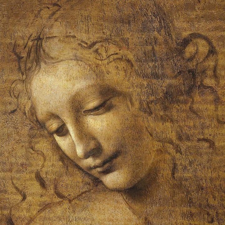 The Head of a Woman by Leonardo da Vinci  |Famous Art Prints