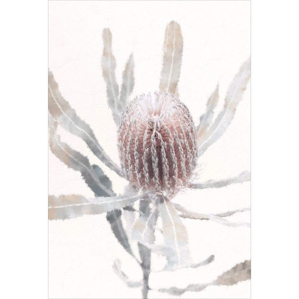 Banksia in Harmony| Portrait Wall Art