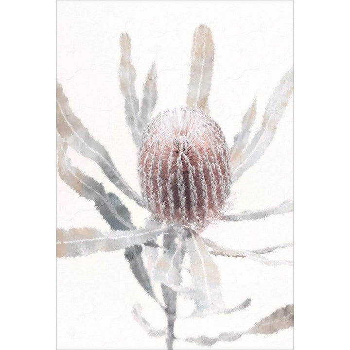 Banksia in Harmony| Portrait Wall Art