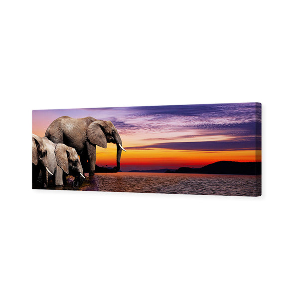African Savannah Elephants