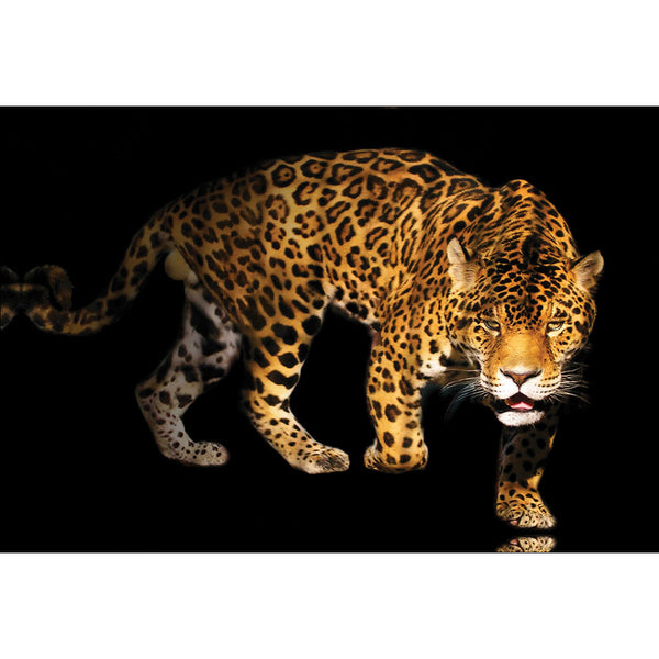 Angry Panther