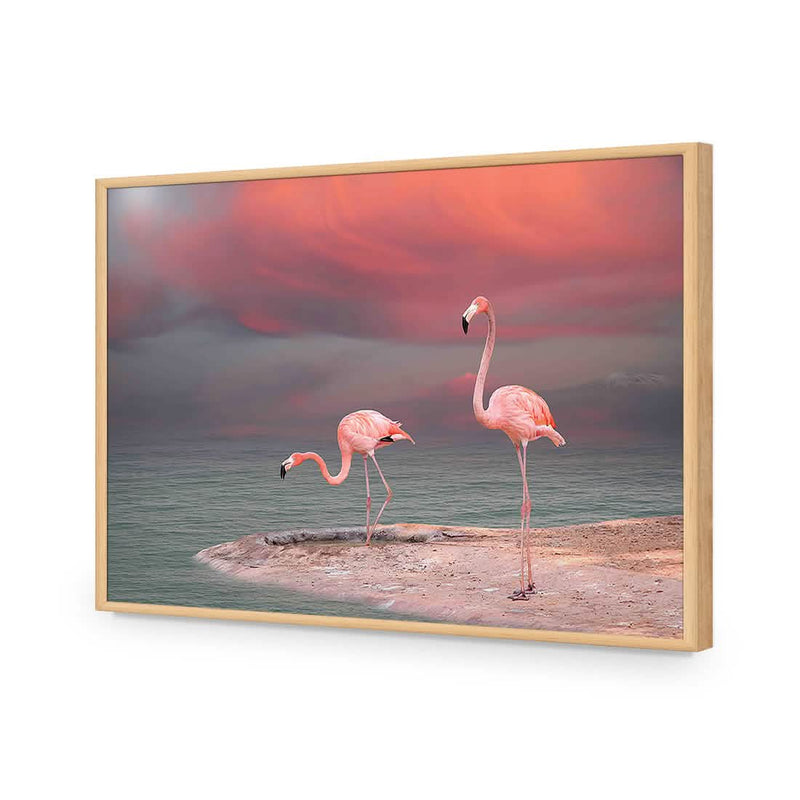 Amsterdam Art