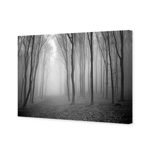 Mysterious Trees B&W