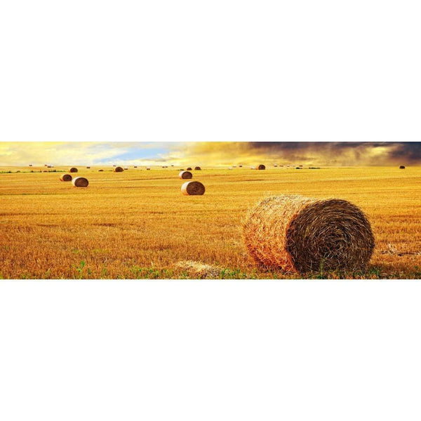 Bales of Hay Sunset