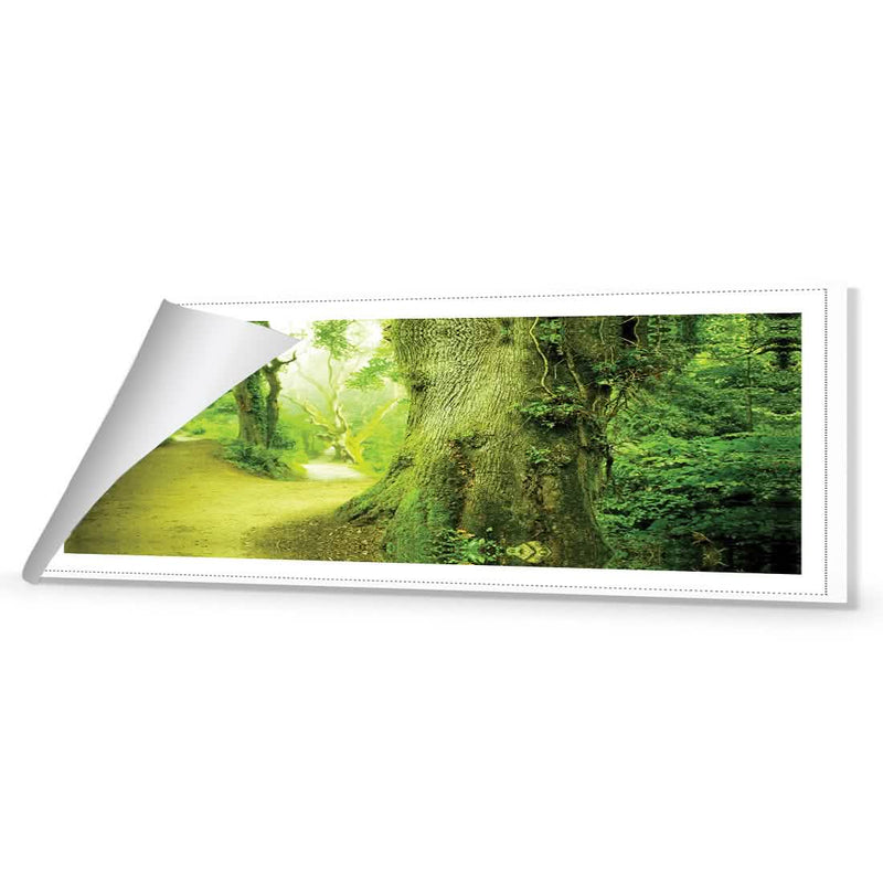 Amsterdam Art