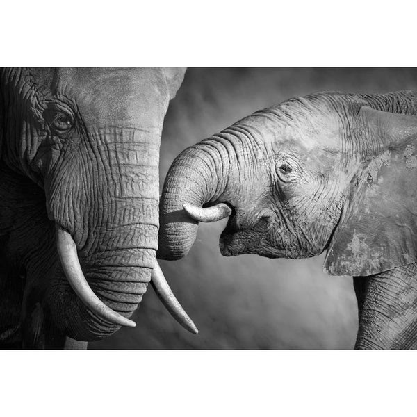 Elephant and Mum