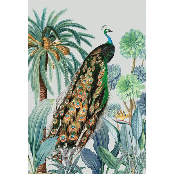 Peacock Bliss