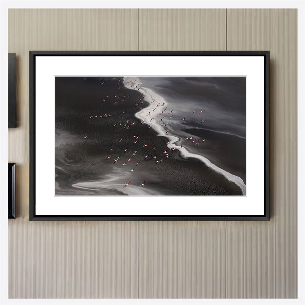 Flamingo's Paradise - Lake Natron