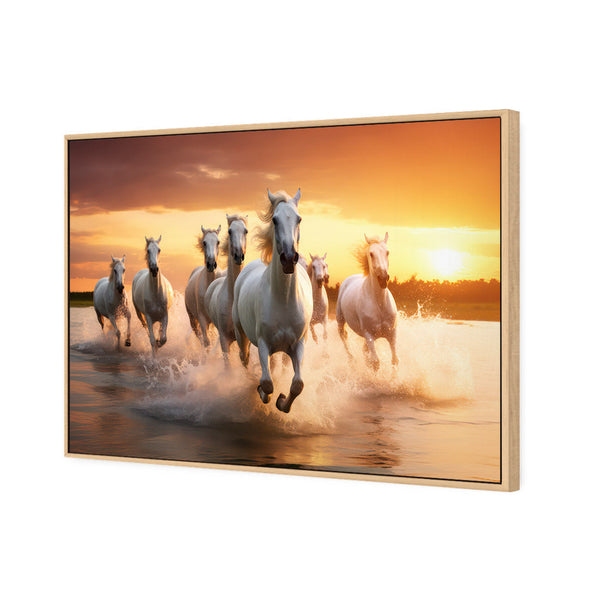 Sunset Horses (stock)